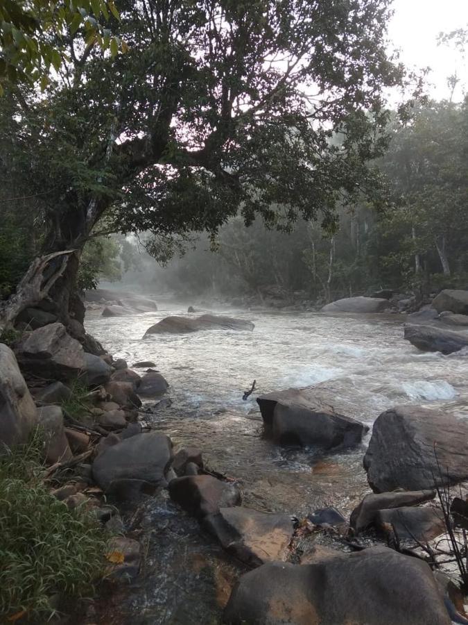Coorg River Rock Camping Madikeri Exterior foto