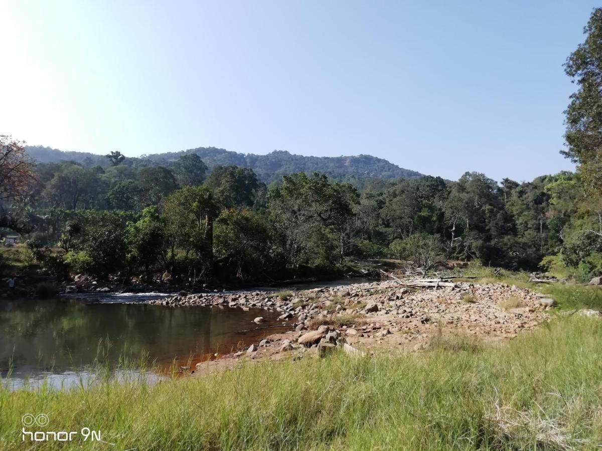 Coorg River Rock Camping Madikeri Exterior foto