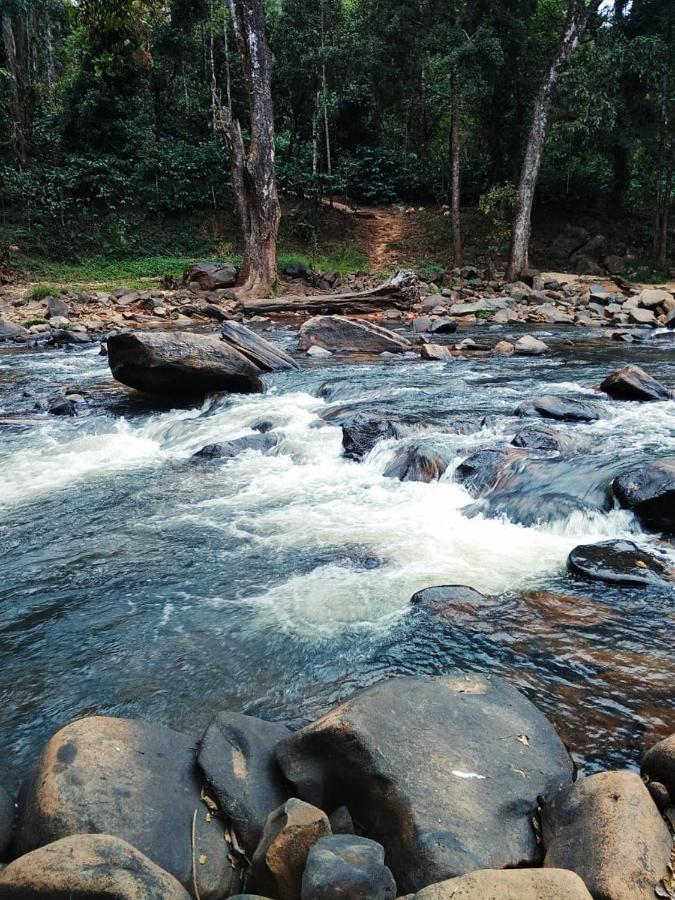 Coorg River Rock Camping Madikeri Exterior foto
