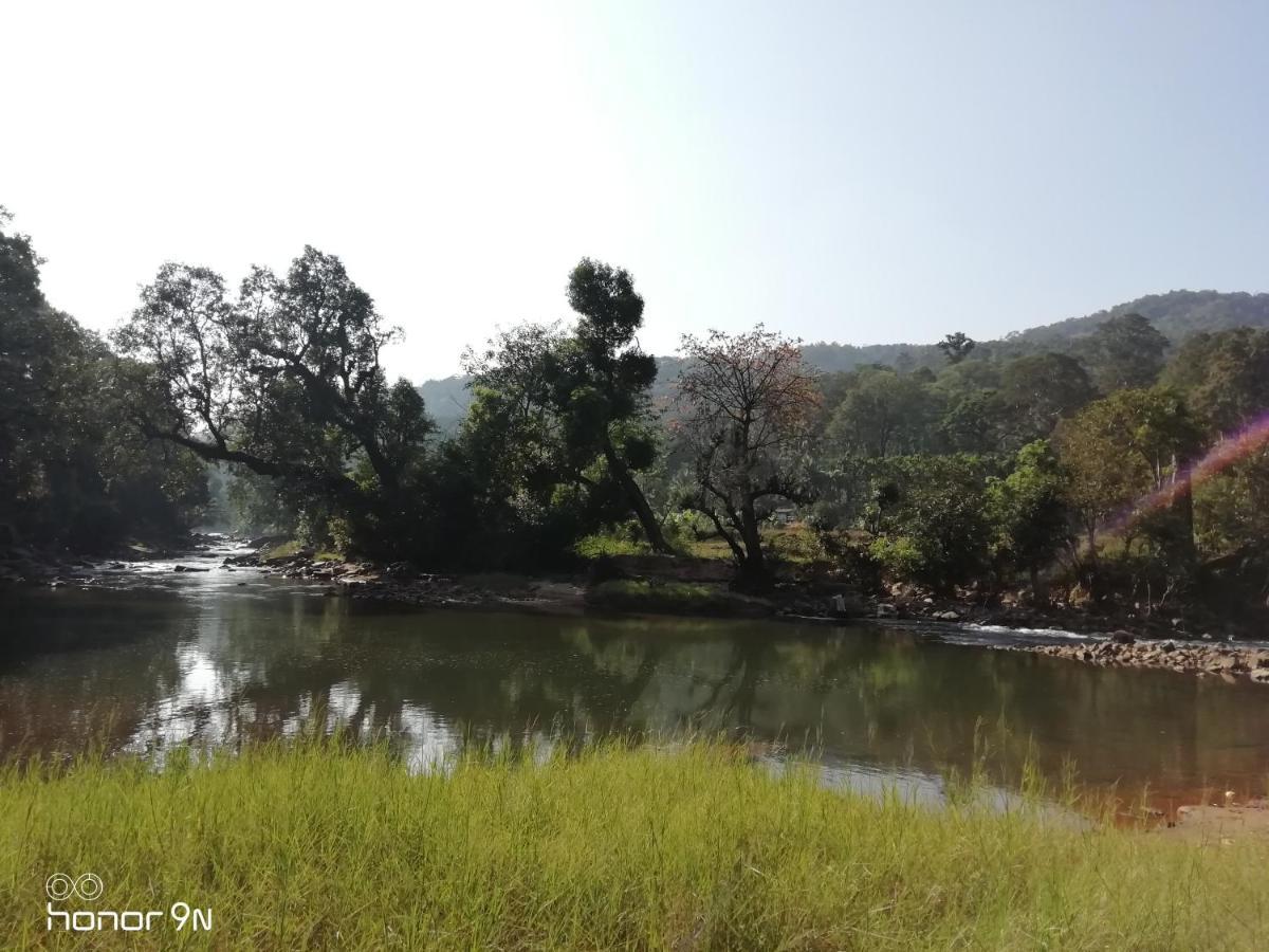 Coorg River Rock Camping Madikeri Exterior foto