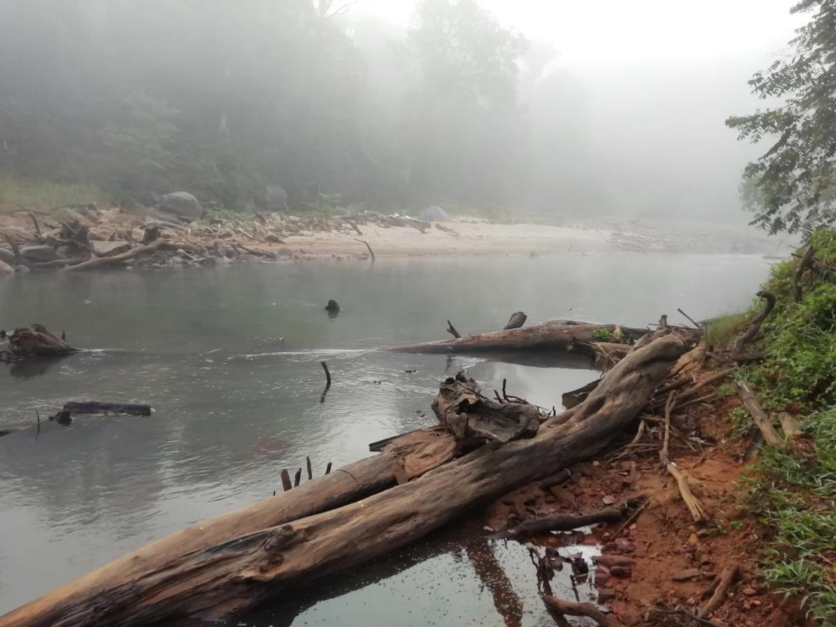 Coorg River Rock Camping Madikeri Exterior foto