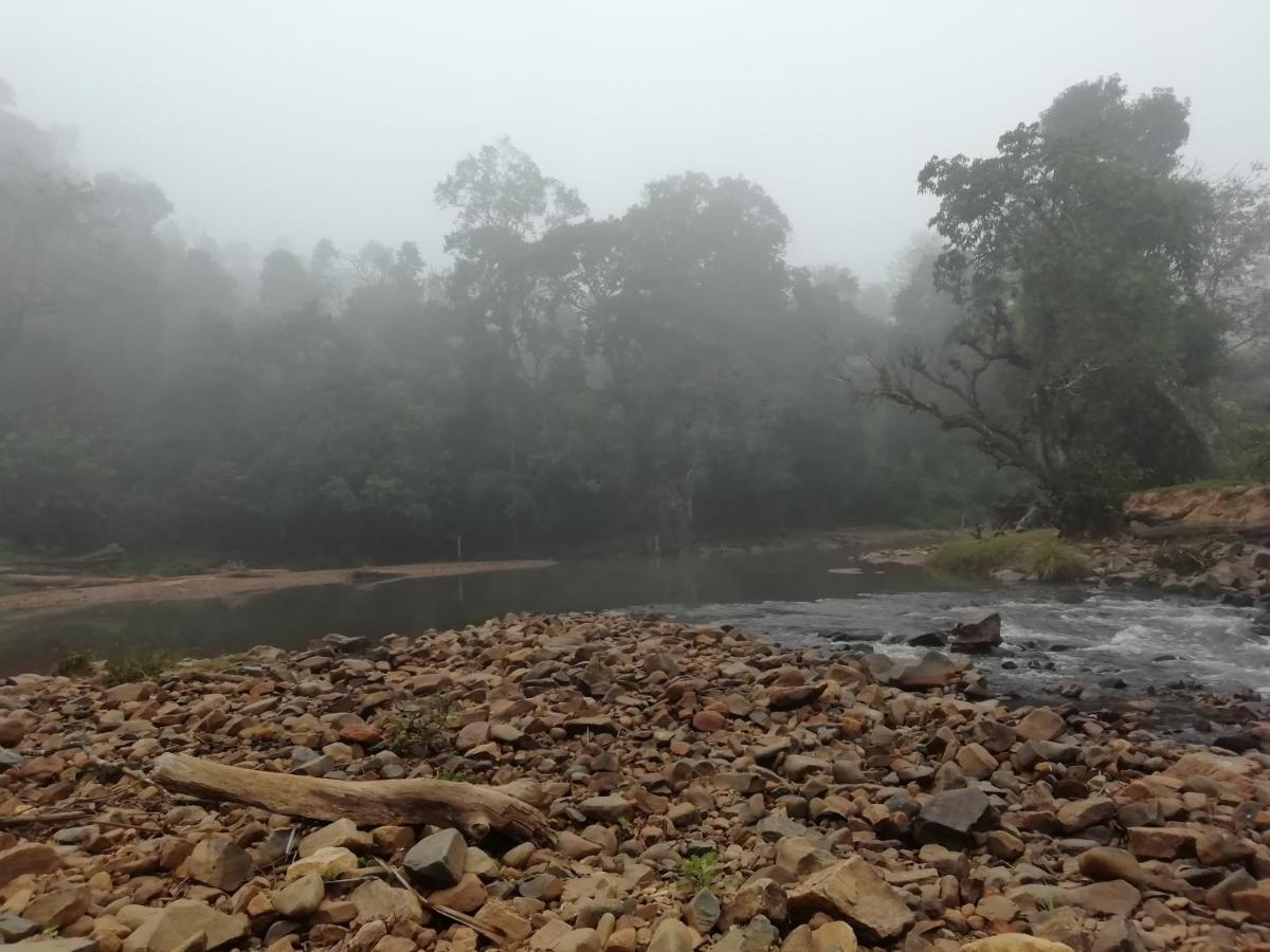 Coorg River Rock Camping Madikeri Exterior foto